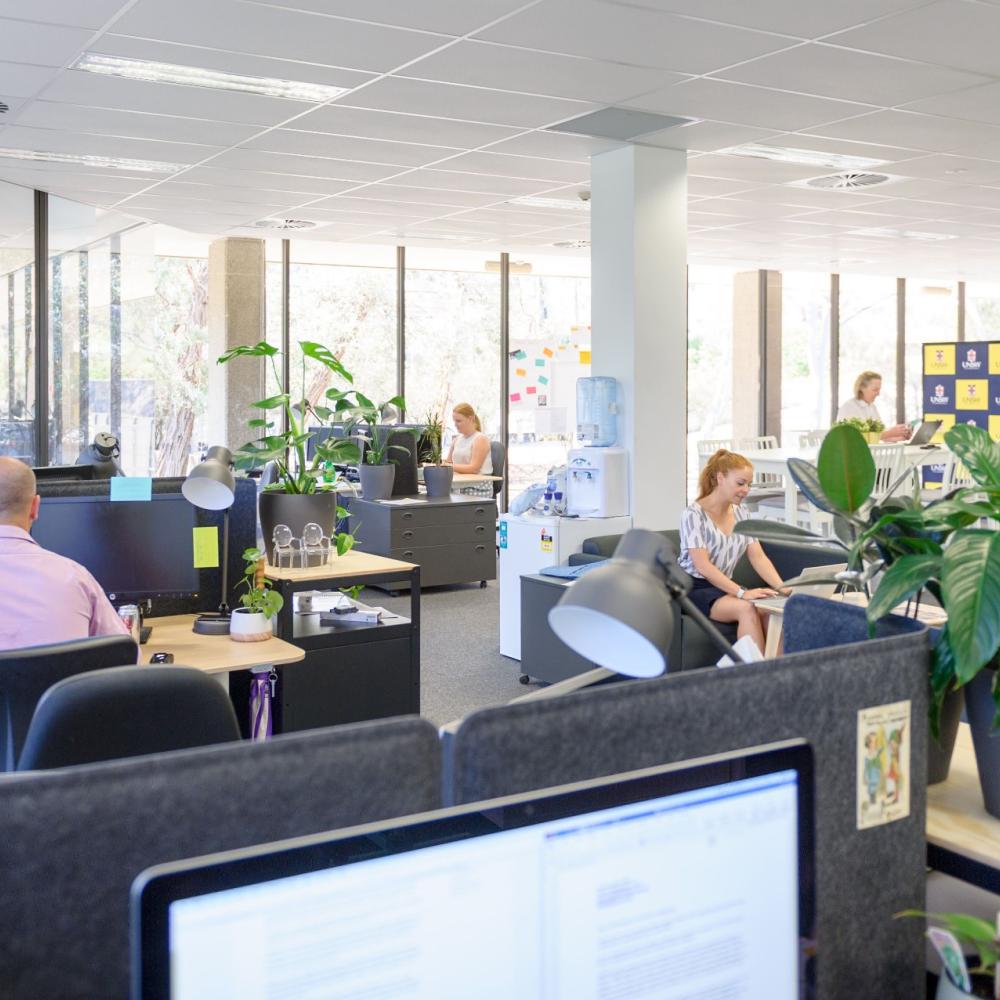 Open_plan_office